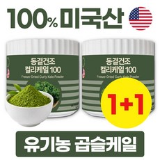 대용량 유기농 컬리케일 100% 동결건조 곱슬케일 분말, 90g, 2개