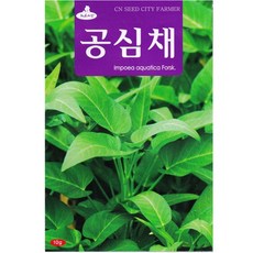 영농사 공심채 씨앗 10g 모닝글로리씨, 4개