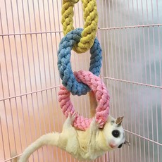 피그미 다람쥐 슈가글라이더 3단 링 놀이터, 1개, 핑크+블루+옐로우