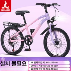 KN 20인치자전거 20인치자전거 자전거20인치, 단일 속도, 18인치, 스포크 휠 핑크퍼플 B