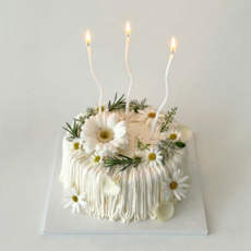 웨이브초 5팩 케이크초 생일초, 30개, 쉬머화이트