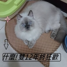 Blackhole落貓砂墊 韓國原裝進口 美國專利 防滑耐磨 貓砂盆墊, 1個, 可愛貓咪頭形褐色(58*54CM)