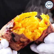 [오남매네] 해남 25년 햇 꿀고구마 중 (2kg 3kg 5kg 10kg), 1세트, 못난이 3kg