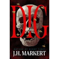 (영문도서)Dig: A Thriller Hardcover, Crooked Lane Books, English, 9798892424158