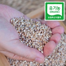 유기농 통밀쌀 국산 밀쌀 생밀 통밀밥, 통밀쌀(유기농) 1kg, 1개