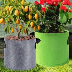 대파 키우기용 부직포 화분 2갤런 베란다 텃밭, 1개, 2화분2갤런-그레이