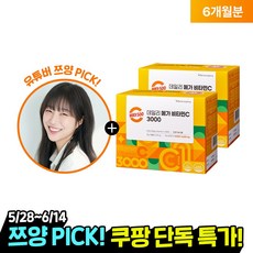 광동 비타500 데일리 메가 비타민C 3000 고함량 비타민c, 2개, 270g