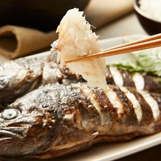 국내산 반건조 손질 우럭 2미[380g 내외], 1개