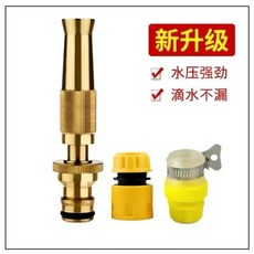 園林澆菜水管噴頭套裝 灑水淋噴霧器花灑 洗車神器園藝001001, 1個, 銅噴槍+塑料快接+萬能接