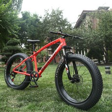 펫바이크 생활용 기어 입문용 MTB 스틸프레임 블랙, 27단, 26인치, 4.0 와이드 타이어 충격 흡수 형광등 레드 팬더, 1개
