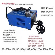 전동차 충전기 3륜 자동차 전동 납산 앞대 전동자동차 송충전기 유아전동차, B. 60V 15A 충전기 (90-100AH)