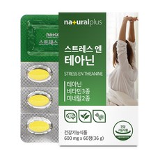 내츄럴플러스 스트레스 앤 테아닌 36g, 60정, 1개