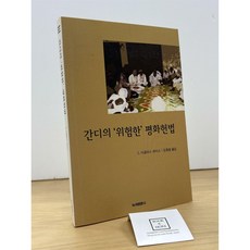 [중고-상] 간디의 위험한 평화헌법
