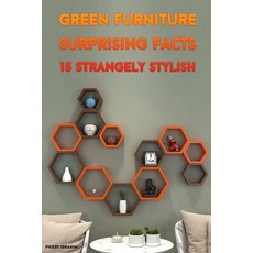 Green Furniture Surprising Facts & 15 Strangely Stylish- Phieby Ibrahim Paperback, Independently Published