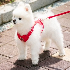 로이벤 편안한 베이직 하네스 + 리드줄 분리형 세트, 1개, 레드