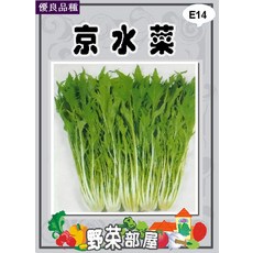 【野菜部屋~】E14 日本早生京水菜種子30公克(約13800粒) 食用清香爽口~, 1包