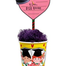 졸업 스칸디아 축하 메세지 만들기 미술교구