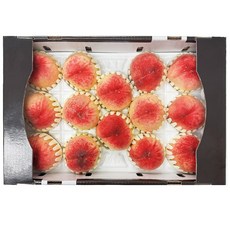 팜앤프룻 고당도 새콤달콤 딱딱이 복숭아, 1개, 2kg(중과 7-9과)