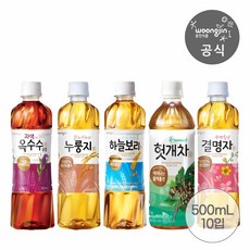 웅진식품 차음료 하늘보리/헛개/누룽지/자색옥수수/결명자 500ml 10펫, 10개