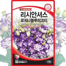 리시안셔스 로지나블루피코티 씨앗 10립 리시안셔스 도라지꽃 씨 종자, 1개