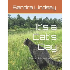 (영문도서) It's a Cat's Day: Photos of six cats at home Paperback, Independently Published, English, 9798884438286
