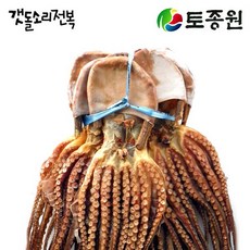토종원 완도 마른문어 대형1마리