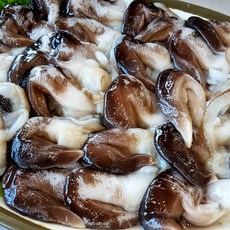 국내산(남해안) 검정새조개 손질 완료 / 신선배송, 1개, 200g (4~10미 내외)