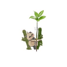 5인세트 초등 돌봄교실 어린이 식물키우기 팬더 수경재배기르기 감수성발달, 식물O [죽백나무(5개)], 1개, 식물O [죽백나무(5개)]