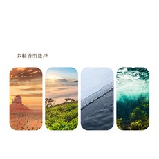 擴香木 柴堆擺件 家用車用室內擴香器 胡桃木, 10ml專用精油,夏日古龍10ml