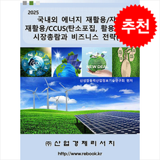 2025 국내외 에너지 재활용/자원 재활용/CCUS(탄소포집 활용 저장) 시장총람과 비즈니스 전략 (하) + 쁘띠수첩 증정, 산업경제리서치, 신성장동력산업정보기술연구회