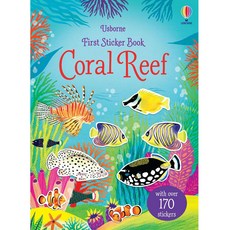 Usborne 珊瑚礁貼紙書 超過170張貼紙 激發孩子們的創造力與想像力