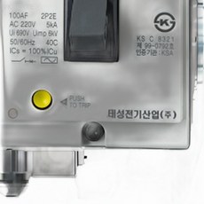 태성 배선차단기 TB 102a 2P 100A 회로보호기