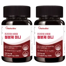 미국산 프리미엄 철분제 미니 24mg 식물성 초소형정제 90정 2박스 (총 6개월분), 1개