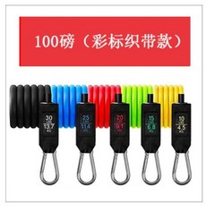 升級款拉力繩12件套組 居家健身訓練彈力繩 TPE材質阻力帶, 1個, 力量標100磅