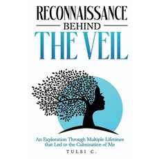 (영문도서)Reconnaissance Behind The Veil Paperback, Tulsi C., English, 9798349513817