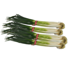 친환경 대파 국내산 신선채소 산지직송 요리용 당일수확, 대파 1kg, 1kg
