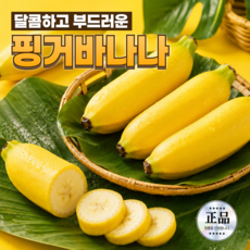 프리미엄 쫀득한식감 고당도 미니 핑거바나나, 1개, 낱발 3kg