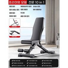 다기능 덤벨 벤치 윗몸일으키기 보조기, 블랙