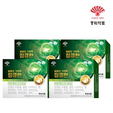동화약품 혈행엔 기억력 징큐란 은행잎추출물 징코 11종기능성, 120정, 4개