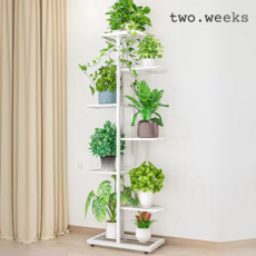 투윅스 철제 화분 선반 식물 진열대, 화이트