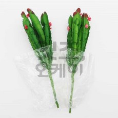 Itsok 다육이조화 선인장 조화꽃