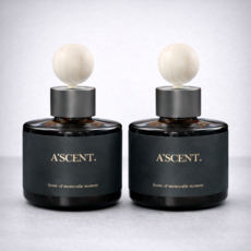 에이센트 차량용 디퓨저 세트, 그린에어리, 2개