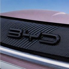 BYD 돌핀 전용 프론트 로고 블랙 커버, 1개