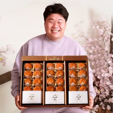 예다움 상주곶감 프리미엄 반건시 명절 가정의달 상견례 선물 곶감단지 크림치즈곶감, 프리미엄 반건시 30과(60g이내), 1박스, 1.6kg