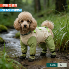 Diqpet 강아지 올인원 우비 방수 옷 산책 등산복 진드기 방지 신발일체형 하네스 고리, 말차 그린 & 베이지, L(권장 무게 5-6.5kg ), 1개