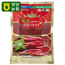 영양농협 2025년산 안심영양 고춧가루 보통맛 1kg, 1개