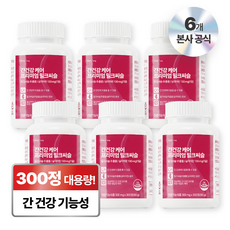 뉴트리정 간건강 케어 프리미엄 밀크씨슬 대용량, 6개, 300정