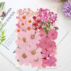 한현 압화 컬러믹스 종합팩 꽃모음 1장 50개꽃, 001번