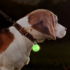 강아지 LED 야광 펜던트 클립형 야간산책 인식표 인식표 산책 외출 목걸이, 옐로우, 1개