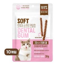 캣퓨어 고양이 소프트 덴탈껌, 20g, 10개, 구강 눈건강에 도움